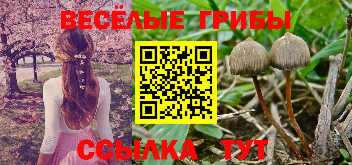 Галлюциногенные грибы MAGIC MUSHROOMS Бузулук