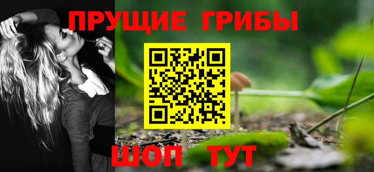 Бузулук  Псилоцибиновые грибы Psilocybe  Вход с VPN 